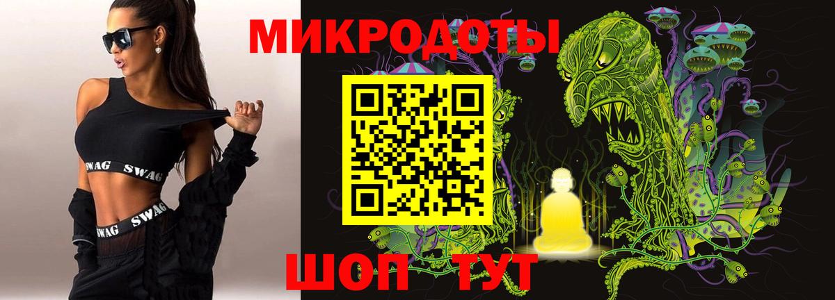 Псилоцибиновые грибы Psilocybine cubensis Черногорск